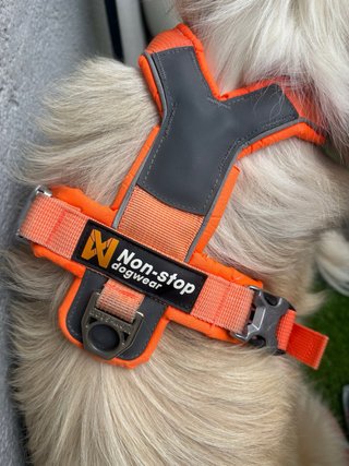 Arnés Non-stop dogwear naranja