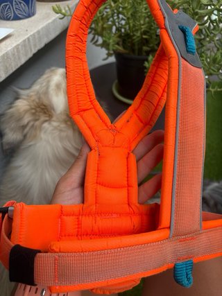 Arnés Non-stop dogwear naranja