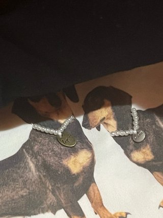 Camiseta blanca con estampado de perros