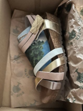 Sandalias Inter-Bios Marrón y Verde
