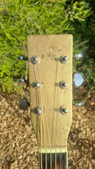 Guitarra Acústica Grover Made in Korea