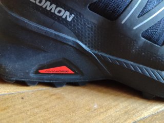 Salomon SCross peak GTX W