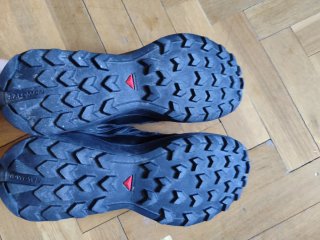 Salomon SCross peak GTX W
