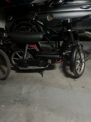 Vespino