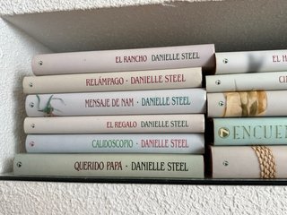 17 Libros vintage danielle Steel años 80 tapa dura