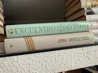 17 Libros vintage danielle Steel años 80 tapa dura
