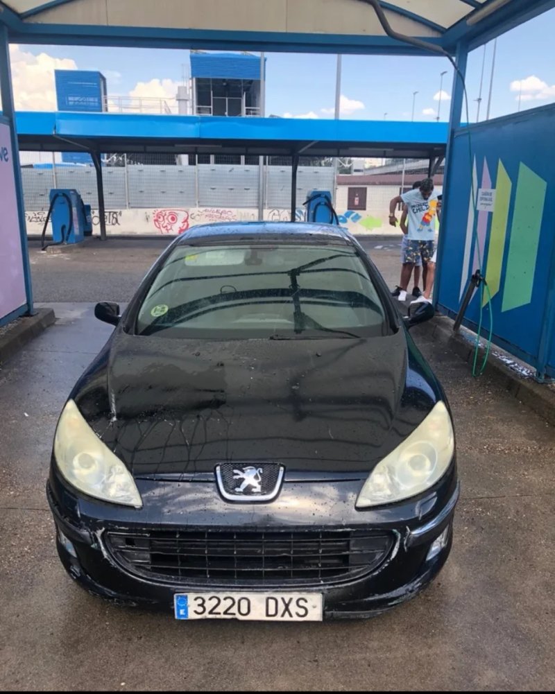 Peugeot 4007 2006 - foto 1