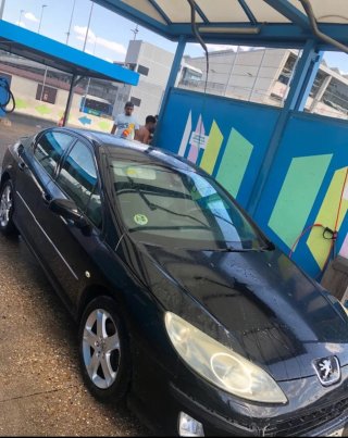 Peugeot 4007 2006