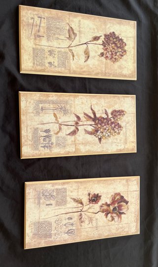 Tríptico Cuadros Botánicos Vintage