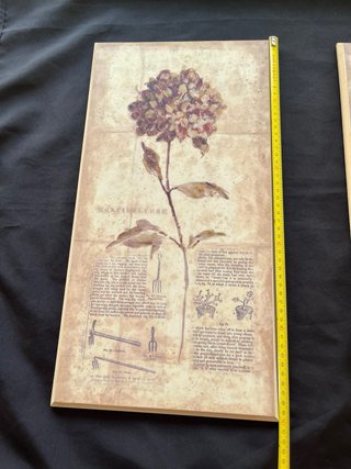 Tríptico Cuadros Botánicos Vintage