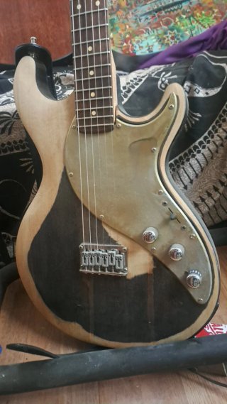 Guitarra Eléctrica Line 6