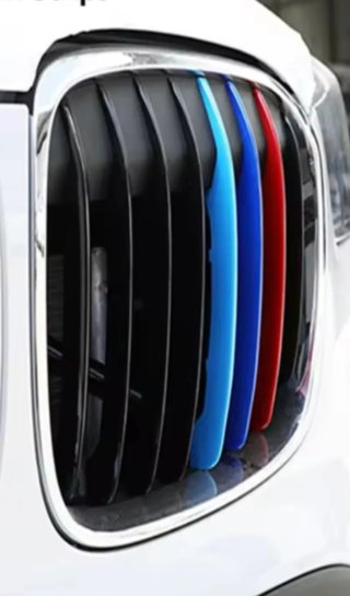 Embellecedor parrilla. BMW X1 2016-2019