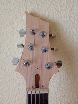 Cuerpo Guitarra Electrica