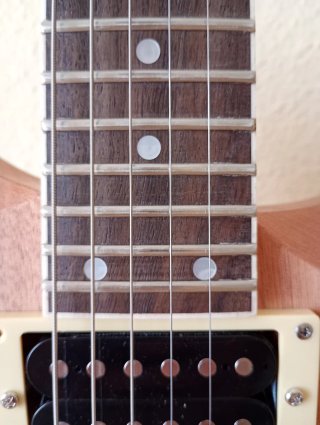 Cuerpo Guitarra Electrica