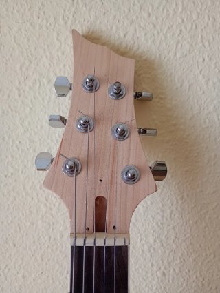 Cuerpo Guitarra Electrica