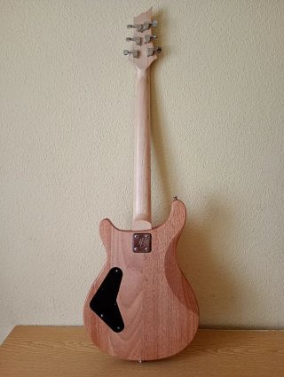 Cuerpo Guitarra Electrica