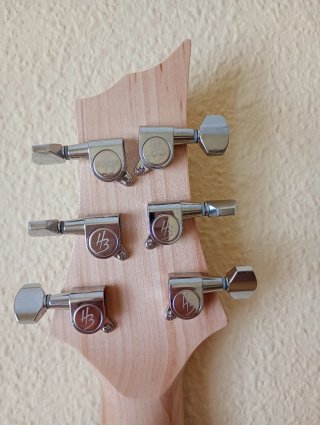 Cuerpo Guitarra Electrica