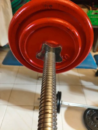 Banco de pesas con discos y mancuernas