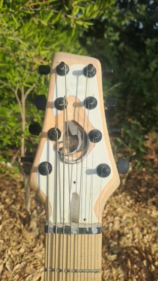 Guitarra 8 cuerdas
