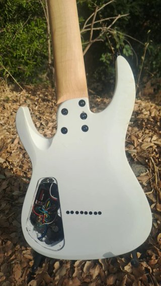 Guitarra 8 cuerdas