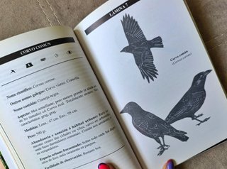 2 Libros Tema Galicia: Gastronomía y Ornitología
