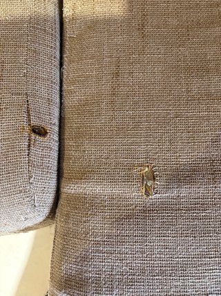 Sofá extensible tela beige/marrón