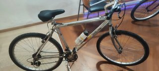 Bicicleta plateada