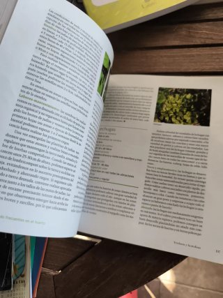 Manual práctico del huerto ecológico