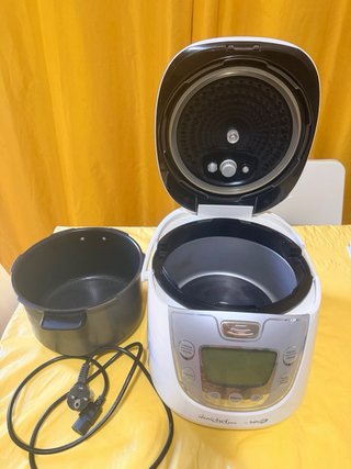 Olla Eléctrica Princess