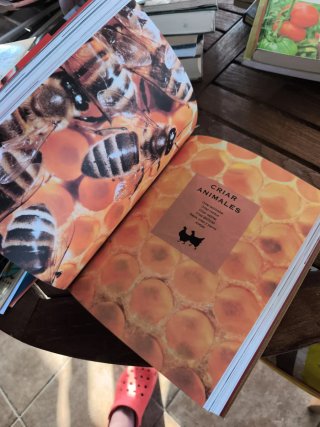 Manual de autosuficiencia