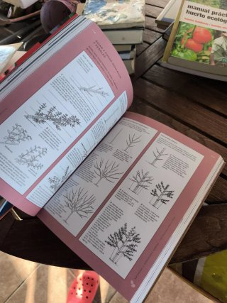 Manual de autosuficiencia