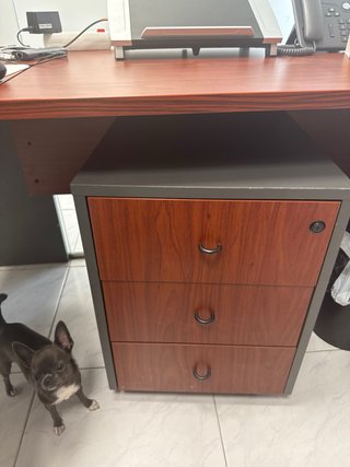 Conjunto Muebles Oficina Madera y gris