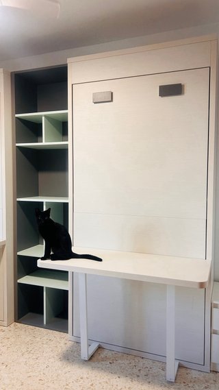 Camas abatibles con escritorio y estantería