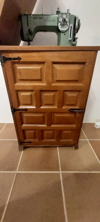 Máquina de coser Refrey Transforma