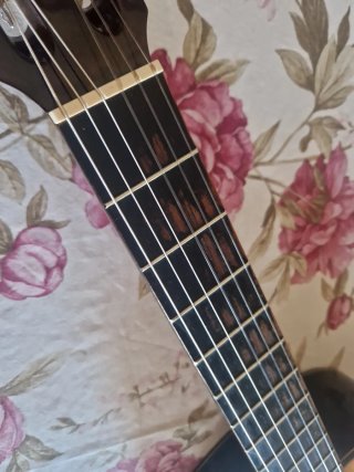 Guitarra Admira 1000E