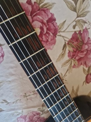 Guitarra Admira 1000E