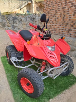 Quad Adly 300cc (HONDA)
