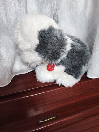 Peluche Cagnolino Trudi Originale