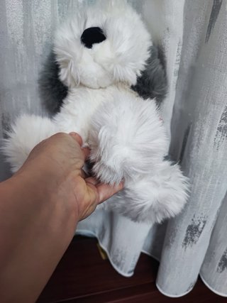 Peluche Cagnolino Trudi Originale