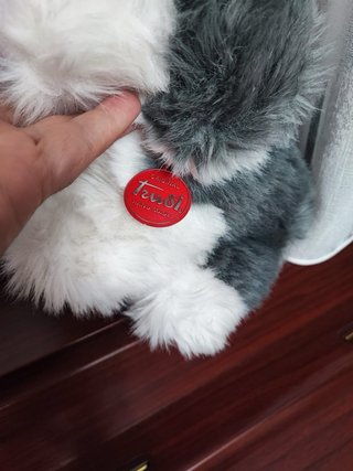 Peluche Cagnolino Trudi Originale