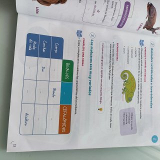 Lengua, Mates y Cono, 3 Primaria