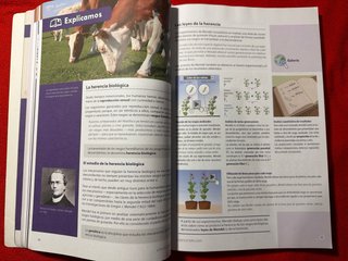 Biología y geología 4 ESO