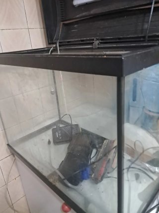Pecera 80L con filtro y accesorios