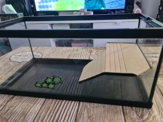 Tortuguera con plataforma START 40