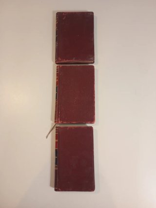 Lote libros antiguos en piel 1945-1953