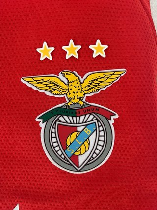 Camisola Benfica Pavlids #14