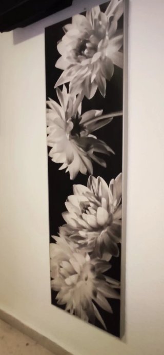 Lienzo Decorativo Flores Blanco y Negro canva