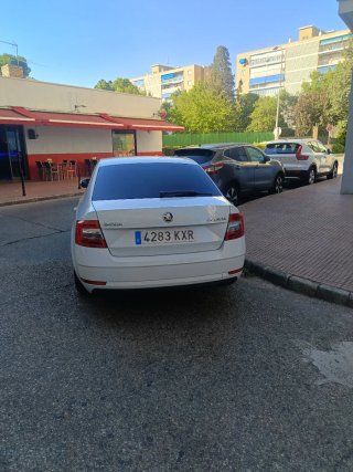 Skoda Octavia 2019