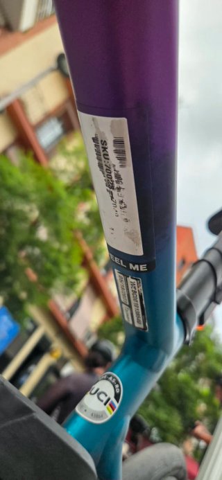 Specialized Allez Sprint DSW 2024 Edición Limitada