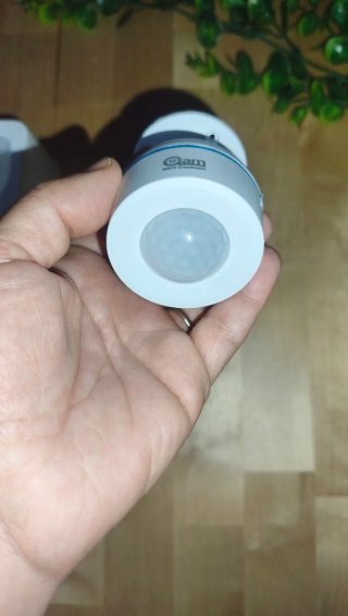 Sensor de Movimiento PIR Inteligente Matter Blanco